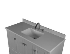 Bellaterra Aurora 49 in. Single Vanity with Quartz Top 800631-49S-LG