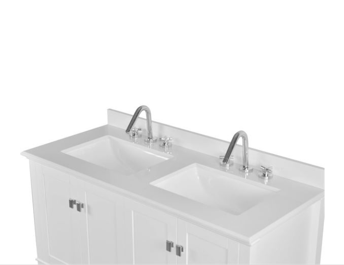 Bellaterra Aurora 49 in. Double Vanity with Quartz Top 800631-49D-LG